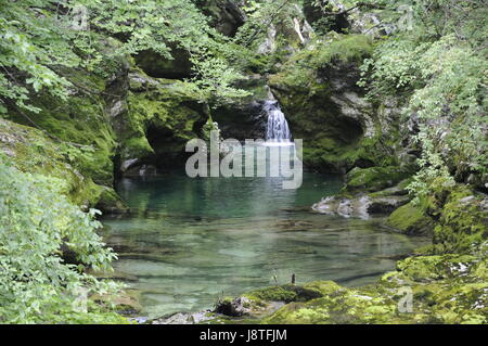 Stream, Tal, Schlucht, Klamm, Slowenien Stockfoto