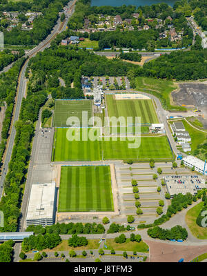 Trainingspots der S04 Schalke, Schalkerfeld, Gelsenkirchen, Ruhr Area, North Rhine-Westphalia, Germany, Trainingsplätze des S04 Schalke Schalker Fe Stockfoto