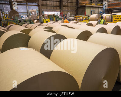 Papier-Mühle-Operationen in American Pacific North West. dreißig Tonnen Rollen braunen Kraftpapier entstehen. Stockfoto