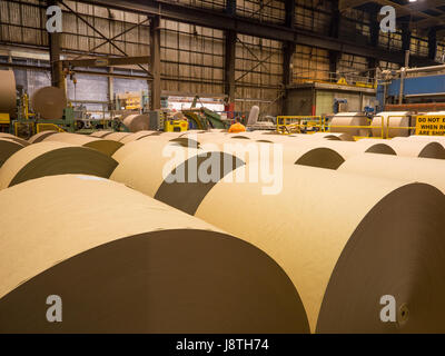 Papier-Mühle-Operationen in American Pacific North West. dreißig Tonnen Rollen braunen Kraftpapier entstehen. Stockfoto