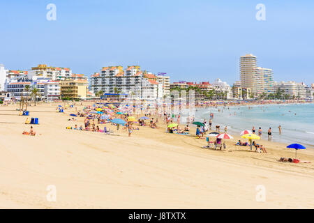 Überfüllten Strand-Szene auf dem beliebten weichen Sand der Playa Norte, Peniscola, Spanien Stockfoto