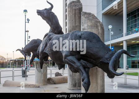 Die Bullen laufen Skulpturen vor dem NRG Stadion, Houston, Texas, USA. Stockfoto