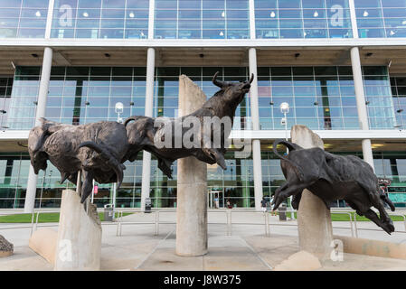 Die Bullen laufen Skulpturen vor dem NRG Stadion, Houston, Texas, USA. Stockfoto