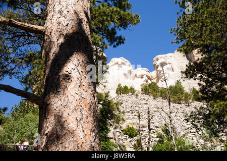 Das Mount Rushmore National Memorial, Black Hills, Keystone, South Dakota, USA Stockfoto