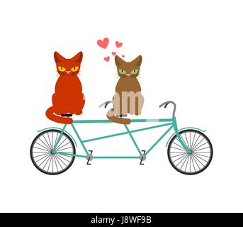 Katzenliebhaber auf Tandem. Liebhaber des Radsports. Gemeinsamen Spaziergang auf Straße. Haustier romantisches Date. Katzen-lifestyle Stock Vektor