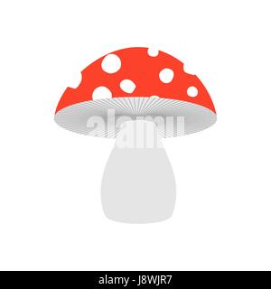 Amanita isoliert. Giftpilz auf weißem Hintergrund. Stock Vektor