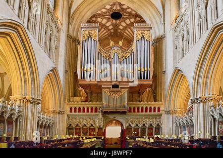 England, Somerset, Wells Cathedral, Orgel und Chor Stände. Stockfoto