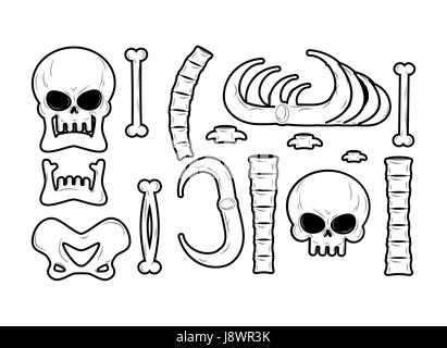 Knochen gesetzt. Anatomie-Symbole. Schädel und Wirbelsäule. Kiefer und des Beckens. Rippen und Tibia. Skelett Knochen Stock Vektor