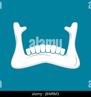 Unterkiefer Menschen isoliert. Unterkiefer. Anatomie des Knochens. Teil des Schädels. Stock Vektor