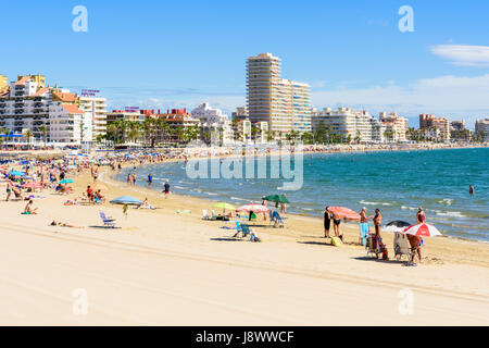 Überfüllten Strand-Szene am beliebten Sandstrand von Playa Norte, Peniscola, Spanien Stockfoto