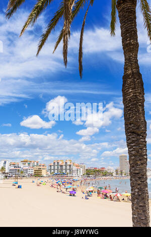 Palme gerahmt Strandszene, Playa Norte, Peniscola, Spanien Stockfoto