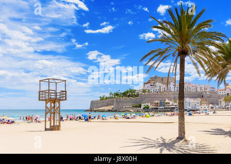 Palmen am Strand mit Papa Luna Schloss und Altstadt auf der felsigen Landzunge an der Costa del Azahar, Playa Norte, Peniscola, Spanien Stockfoto