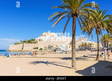 Palmen am Strand mit Papa Luna Schloss und Altstadt auf der felsigen Landzunge an der Costa del Azahar, Playa Norte, Peniscola, Spanien Stockfoto