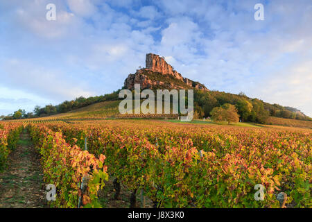 Frankreich, Saone et Loire, Solutre Pouilly, Solutre Rock und Weinbergfall Stockfoto