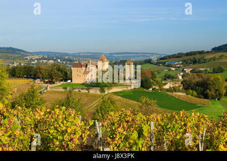 Frankreich, Saone et Loire, Pierreclos, Schloss Pierreclos und Weinbergfallen Stockfoto