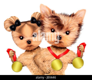 Lustiger Hund mit Gold-, Silber- und Bronze-Medaille Stockfoto