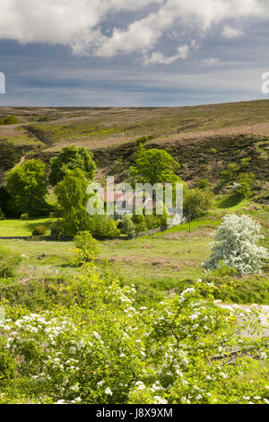 Abgelegenen Darnholme Dorf in der Nähe von Goathland und die North Yorkshire Moors Railway Line. Stockfoto