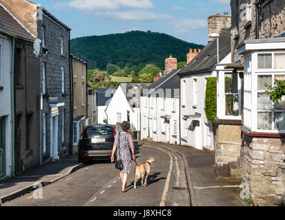 Eine Frau, die zu Fuß ihre lurcher Hund an einer ruhigen Straße im "Buch der Stadt' von Hay-on-Wye, Powys, Großbritannien Stockfoto