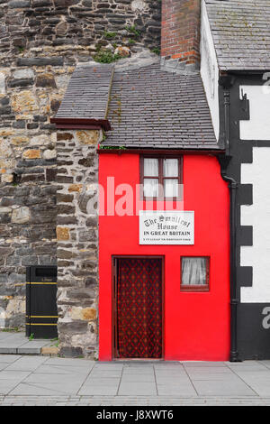 Wales, Conwy, das kleinste Haus in Großbritannien. Stockfoto
