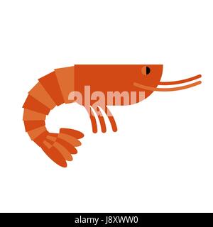 Garnelen. Marine cancroid. Gekochte Garnelen Delikatesse. Warmes Orange Garnelen auf weißem Hintergrund. Stock Vektor