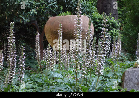 Acanthus Blütenpflanzen in einem klassischen römischen Garten, Italien Stockfoto