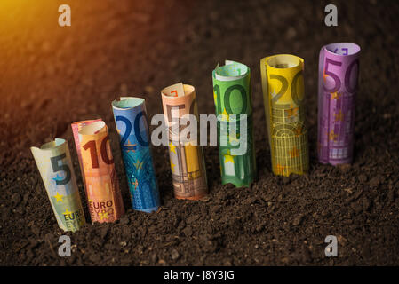 Einkommen aus landwirtschaftlicher Tätigkeit, Euro-Banknoten auf fruchtbaren Boden, selektiven Fokus Stockfoto