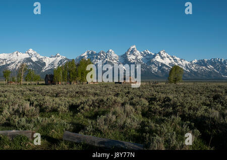 Die schneebedeckte Teton Mountains oberhalb der Moulton Scheune auf Mormone Zeile im Grand-Teton-Nationalpark, Wyoming Stockfoto