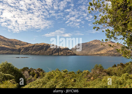 Mou, Island, Neuseeland Stockfoto