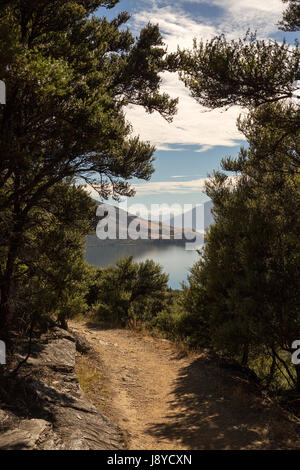 Mou, Island, Neuseeland Stockfoto