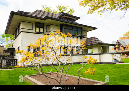 Chicago Illinois Oak Park 313 Avenue Waldhügel-Decaro House home Residence Frank Lloyd Wright Architekt 1867 1959 Bäume Rasen Stockfoto