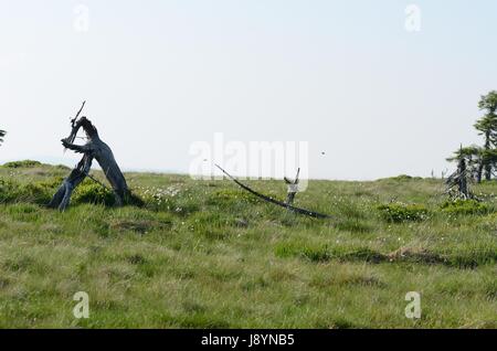 Landschaft auf den Hügelkuppen Stockfoto