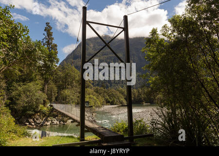 Schwingende Brücke auf dem hollyford track Neuseeland Stockfoto