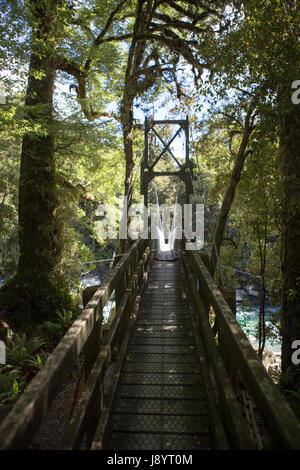 Ältere Menschen gehen über schwingende Brücke auf dem hollyford track Neuseeland Stockfoto