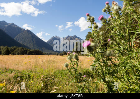 Blick über den eglinton Valley vom Milford Highway, Fiordland National Park, South Island, Neuseeland Stockfoto