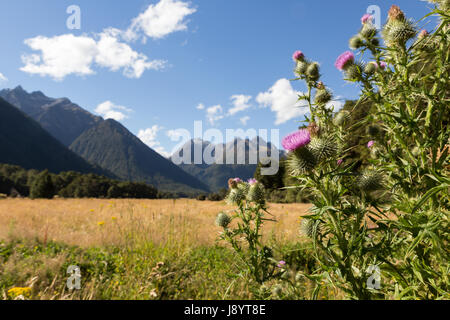 Blick über den eglinton Valley vom Milford Highway, Fiordland National Park, South Island, Neuseeland Stockfoto