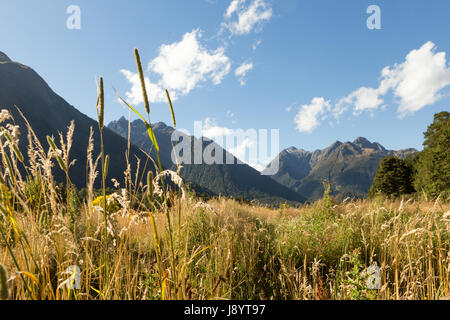 Blick über den eglinton Valley vom Milford Highway, Fiordland National Park, South Island, Neuseeland Stockfoto