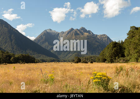 Blick über den eglinton Valley vom Milford Highway, Fiordland National Park, South Island, Neuseeland Stockfoto