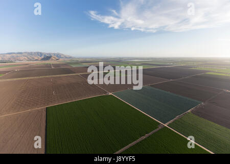 Luftaufnahme von Feldern in der Nähe von Oxnard und Camarillo in Ventura County, Kalifornien. Stockfoto