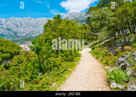 Weg zwischen Makarska Stadt und Strand Nugal, Makarska, Dalmatien, Kroatien Stockfoto