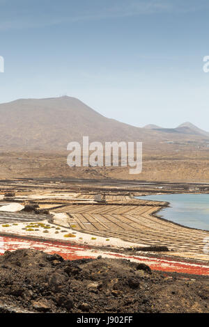 Lanzarote-Salinen - arbeitet arbeiten Salz bei Salinas de Janubio auf der Westküste, Lanzarote, Kanarische Inseln, Europa Stockfoto