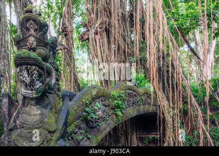 Monkey Forest, Ubud, Bali, Indonesien, Asien Stockfoto