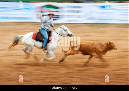 Rodeo ist ein beliebter Zeitvertreib in Mato Grosso Do Sul, Stadt Bonito, Brasilien Stockfoto