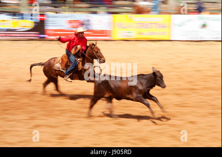 Rodeo ist ein beliebter Zeitvertreib in Mato Grosso Do Sul, Stadt Bonito, Brasilien Stockfoto