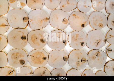 Muster aus viele dekorative Innenausstattung ungeschliffen Erle Holz Sägeschnitte mit Knoten auf weißem Hintergrund. Stockfoto