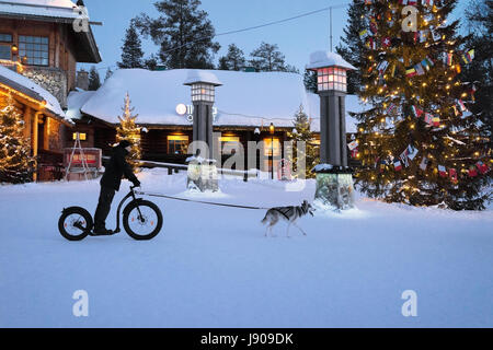 Rovaniemi, Finnland - 5. März 2017: Mann auf einem Fahrrad und Reiten im Santa Claus Village, Lappland, Finnland am Polarkreis im Winter husky. Stockfoto