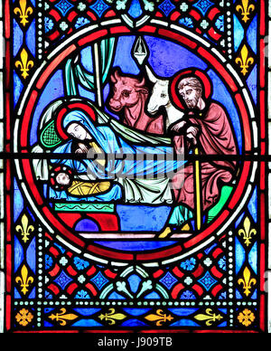 Nativity Fenster, Glasmalereien von Oudinot von Paris, 1861, Feltwell Kirche, Norfolk, Krippe, Stall, Maria, Joseph, Neugeborenen Jesuskind, Rinder Stockfoto