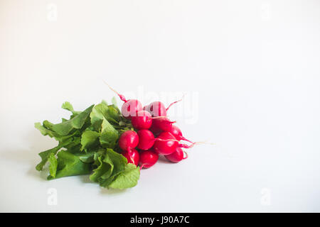 Viele rote Radieschen auf weißem Hintergrund mit textfreiraum im Zentrum Stockfoto