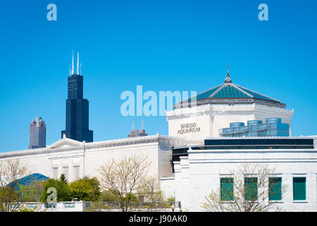 Chicago Illinois in der Nähe von South Side Grant Park Shedd Aquarium blauer Himmel außen außen gebaut 1930 Stockfoto