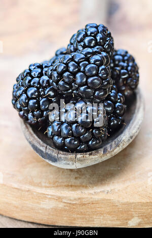 Hölzerne Löffel gefüllt mit frischen Brombeeren. Extrem geringe Schärfentiefe mit selektiven Fokus auf Beeren im Vordergrund. Stockfoto