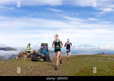 Fiel Läufer überqueren des Gipfels von Clough Kopf während der Lakelandpoeten und dem Dodds fiel Race, Lake District, Cumbria, UK Stockfoto